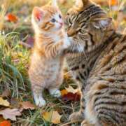 ヒメ日記 2025/11/10 13:45 投稿 篠原 MadameRest(マダムレスト)