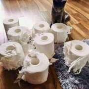 ヒメ日記 2025/11/11 17:31 投稿 篠原 MadameRest(マダムレスト)