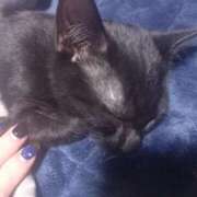 ヒメ日記 2025/11/12 12:55 投稿 篠原 MadameRest(マダムレスト)