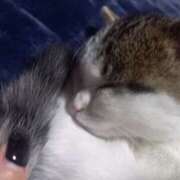 ヒメ日記 2025/11/14 06:57 投稿 篠原 MadameRest(マダムレスト)