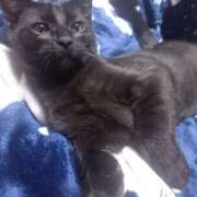 ヒメ日記 2025/11/14 12:34 投稿 篠原 MadameRest(マダムレスト)