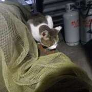 ヒメ日記 2025/11/15 07:07 投稿 篠原 MadameRest(マダムレスト)