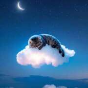 ヒメ日記 2025/11/16 07:04 投稿 篠原 MadameRest(マダムレスト)