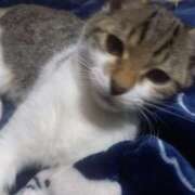 ヒメ日記 2025/11/16 13:41 投稿 篠原 MadameRest(マダムレスト)