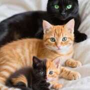 ヒメ日記 2025/11/17 16:22 投稿 篠原 MadameRest(マダムレスト)