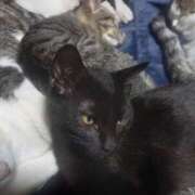 ヒメ日記 2025/11/18 07:28 投稿 篠原 MadameRest(マダムレスト)