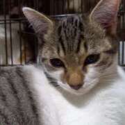 ヒメ日記 2025/11/19 14:23 投稿 篠原 MadameRest(マダムレスト)