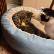 ヒメ日記 2025/11/19 21:18 投稿 篠原 MadameRest(マダムレスト)