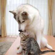 ヒメ日記 2025/11/20 13:15 投稿 篠原 MadameRest(マダムレスト)