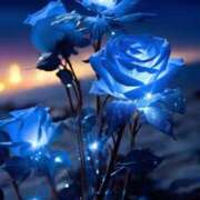 ヒメ日記 2025/11/21 16:37 投稿 篠原 MadameRest(マダムレスト)