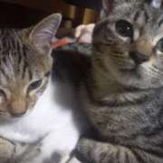 ヒメ日記 2025/11/22 12:30 投稿 篠原 MadameRest(マダムレスト)