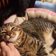 ヒメ日記 2025/11/23 04:00 投稿 篠原 MadameRest(マダムレスト)