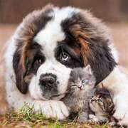 ヒメ日記 2025/11/24 12:25 投稿 篠原 MadameRest(マダムレスト)