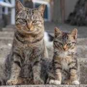 ヒメ日記 2025/11/25 14:52 投稿 篠原 MadameRest(マダムレスト)