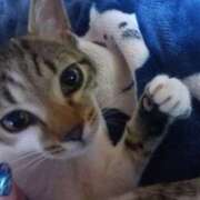 ヒメ日記 2025/11/26 01:36 投稿 篠原 MadameRest(マダムレスト)