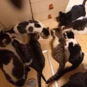 ヒメ日記 2025/11/27 07:35 投稿 篠原 MadameRest(マダムレスト)