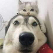 ヒメ日記 2025/11/27 12:40 投稿 篠原 MadameRest(マダムレスト)