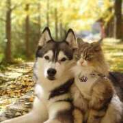 ヒメ日記 2025/11/27 15:46 投稿 篠原 MadameRest(マダムレスト)