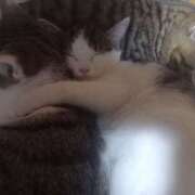 ヒメ日記 2025/11/28 04:36 投稿 篠原 MadameRest(マダムレスト)