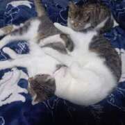 ヒメ日記 2025/11/28 06:47 投稿 篠原 MadameRest(マダムレスト)