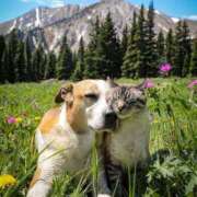 ヒメ日記 2025/11/29 12:34 投稿 篠原 MadameRest(マダムレスト)