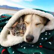 ヒメ日記 2025/12/01 07:08 投稿 篠原 MadameRest(マダムレスト)