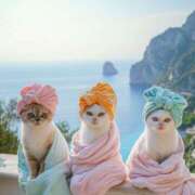 ヒメ日記 2025/12/01 12:32 投稿 篠原 MadameRest(マダムレスト)