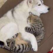 ヒメ日記 2025/12/03 13:31 投稿 篠原 MadameRest(マダムレスト)