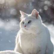 ヒメ日記 2025/12/03 18:05 投稿 篠原 MadameRest(マダムレスト)