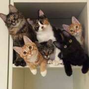 ヒメ日記 2025/12/04 17:09 投稿 篠原 MadameRest(マダムレスト)