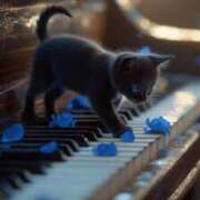 ヒメ日記 2025/12/06 07:23 投稿 篠原 MadameRest(マダムレスト)