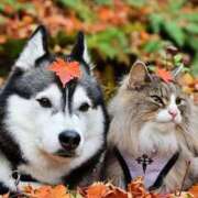 ヒメ日記 2025/12/06 11:35 投稿 篠原 MadameRest(マダムレスト)