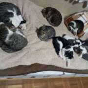 ヒメ日記 2025/12/09 13:53 投稿 篠原 MadameRest(マダムレスト)