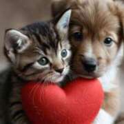 ヒメ日記 2025/12/10 15:39 投稿 篠原 MadameRest(マダムレスト)