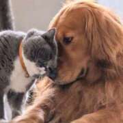 ヒメ日記 2025/12/14 12:44 投稿 篠原 MadameRest(マダムレスト)