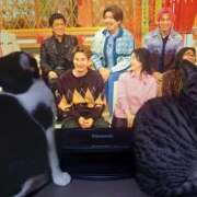 ヒメ日記 2025/12/17 21:42 投稿 篠原 MadameRest(マダムレスト)