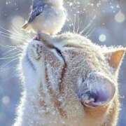 ヒメ日記 2025/12/18 12:05 投稿 篠原 MadameRest(マダムレスト)