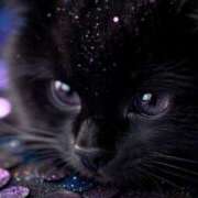 ヒメ日記 2025/12/18 15:54 投稿 篠原 MadameRest(マダムレスト)