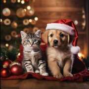 ヒメ日記 2025/12/19 13:06 投稿 篠原 MadameRest(マダムレスト)