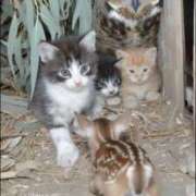 ヒメ日記 2025/12/20 16:20 投稿 篠原 MadameRest(マダムレスト)