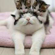 ヒメ日記 2025/12/22 16:06 投稿 篠原 MadameRest(マダムレスト)