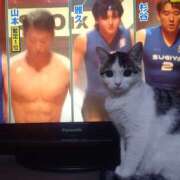 ヒメ日記 2025/12/23 05:42 投稿 篠原 MadameRest(マダムレスト)