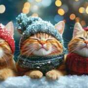 ヒメ日記 2025/12/23 13:35 投稿 篠原 MadameRest(マダムレスト)