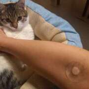 ヒメ日記 2025/12/23 22:23 投稿 篠原 MadameRest(マダムレスト)