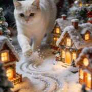 ヒメ日記 2025/12/24 14:05 投稿 篠原 MadameRest(マダムレスト)