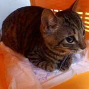 ヒメ日記 2025/12/24 18:12 投稿 篠原 MadameRest(マダムレスト)