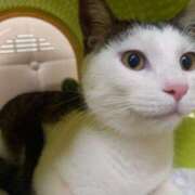 ヒメ日記 2025/12/24 23:39 投稿 篠原 MadameRest(マダムレスト)