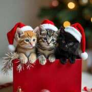 ヒメ日記 2025/12/25 13:04 投稿 篠原 MadameRest(マダムレスト)