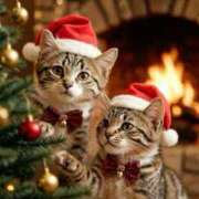 ヒメ日記 2025/12/25 15:59 投稿 篠原 MadameRest(マダムレスト)