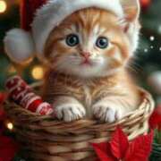 ヒメ日記 2025/12/26 02:05 投稿 篠原 MadameRest(マダムレスト)